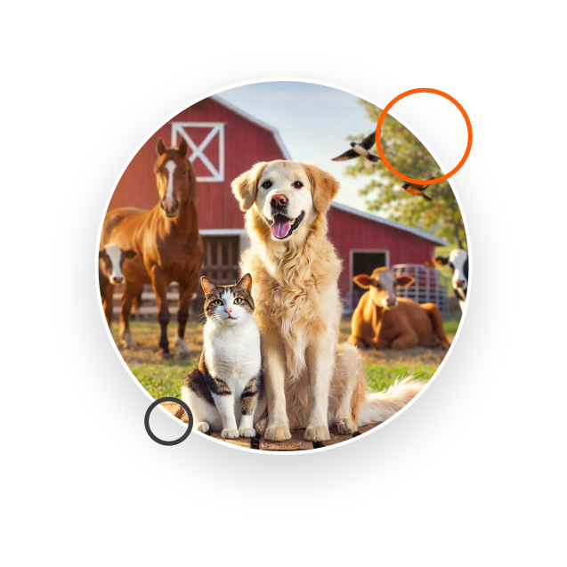 Medicina veterinária